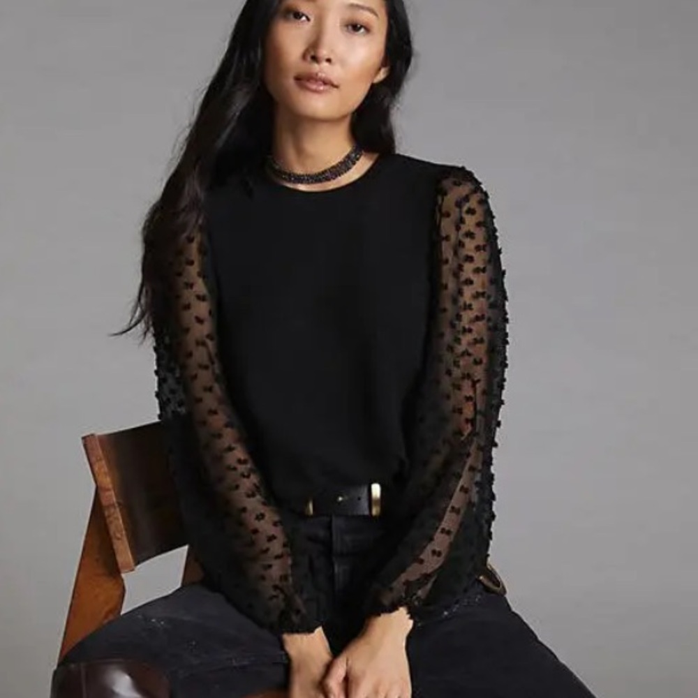 Maeve Textured Sleeve Black Top with Sheer Sleeves